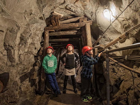 The Robin Hood Inn - Kingaroy Accommodation 2