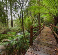 The Source Otways - Kingaroy Accommodation