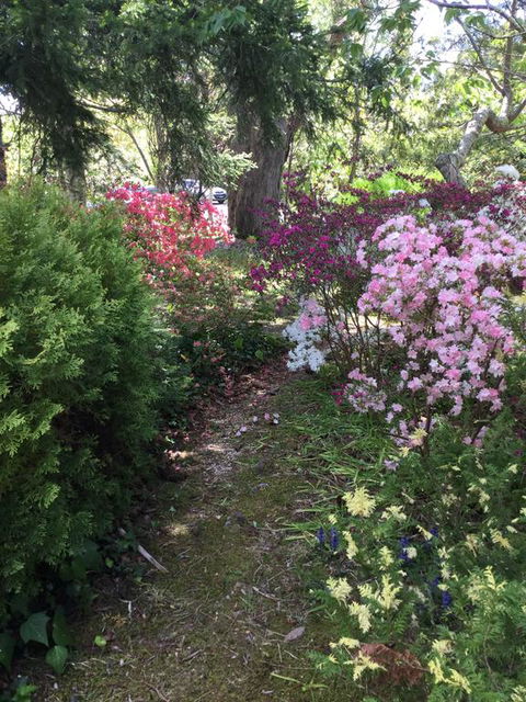 The Wentworth Retreat - Kingaroy Accommodation 3