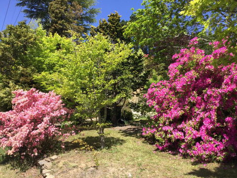 The Wentworth Retreat - Kingaroy Accommodation 1