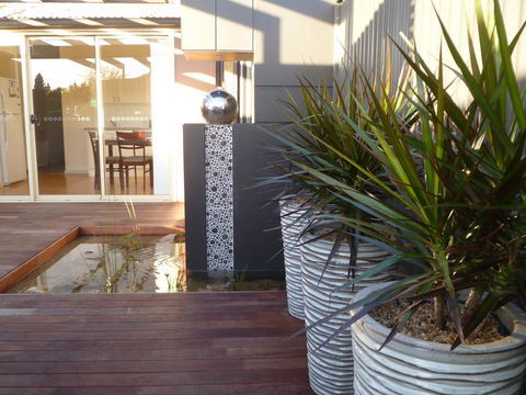 The Wet Lizard - Kingaroy Accommodation 0