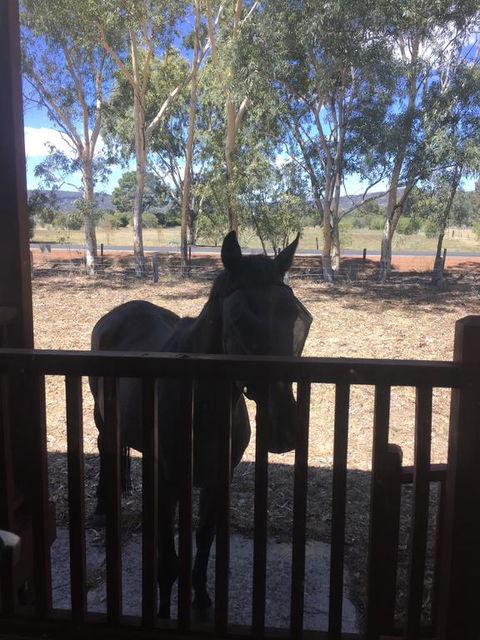 Thie My Chree Retreat - Kingaroy Accommodation 3
