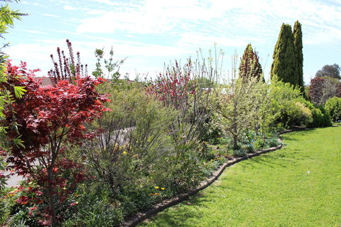 Top Of The Town Motel - Kingaroy Accommodation 2