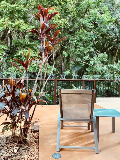 Tranquil Setting In Buderim - Kingaroy Accommodation 3