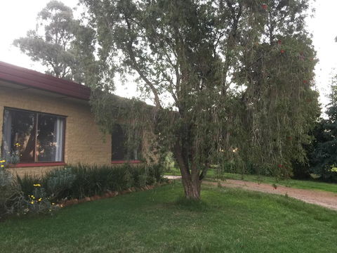Tree Of Love Farm Stay - Kingaroy Accommodation 1
