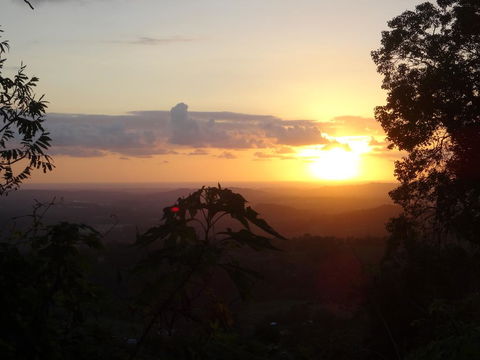 Treetops Montville - Kingaroy Accommodation 3