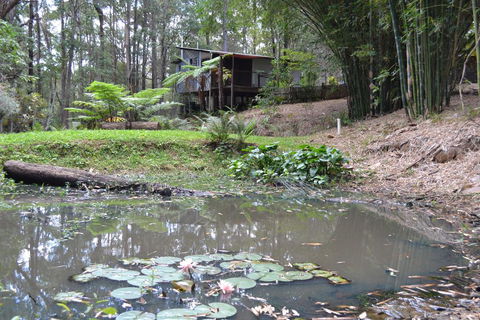 Turmeric Gardens - Kingaroy Accommodation 3