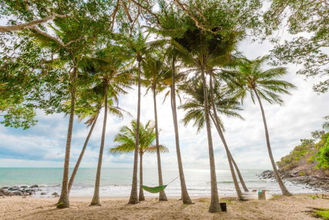 Turtle Cove Beach Resort - Adults Only LGBTQIA & Allies - Kingaroy Accommodation 3