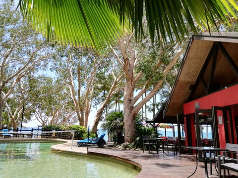 Turtle Cove Beach Resort - Adults Only LGBTQIA & Allies - Kingaroy Accommodation 0