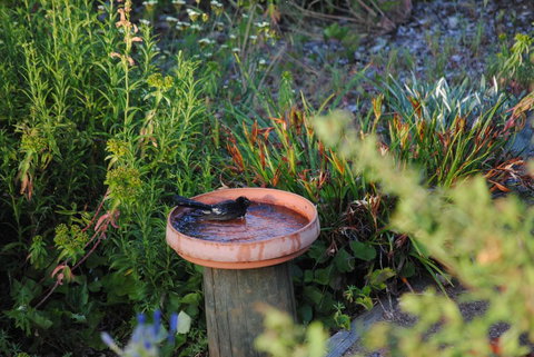 Tweed Valley Lodge - Kingaroy Accommodation 2