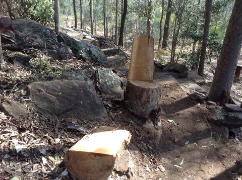 Twilight Grove Farm - Kingaroy Accommodation 3
