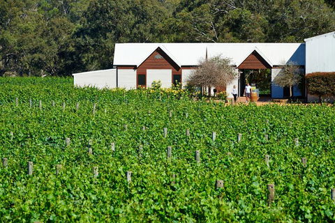 Upper Reach Spa Cottage - Kingaroy Accommodation 0