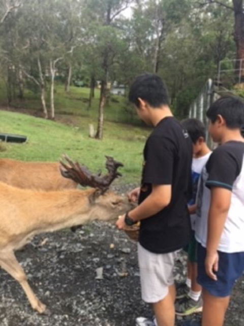 Villa Cervi Property - Kingaroy Accommodation 3