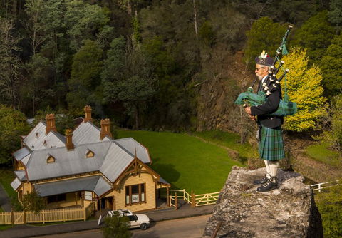 Walhalla Wild Cherry - Kingaroy Accommodation 2