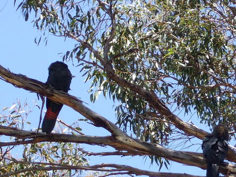 Wanderers Rest Of Kangaroo Island - Kingaroy Accommodation 2