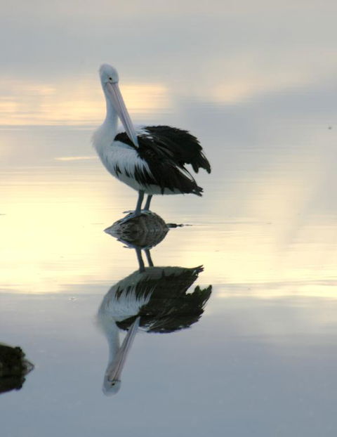 Wanderers Rest Of Kangaroo Island - Kingaroy Accommodation 3