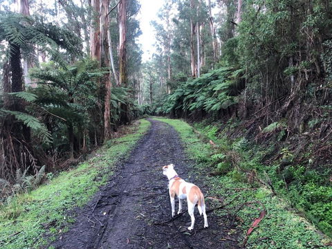 Warby Weekender - Kingaroy Accommodation 3