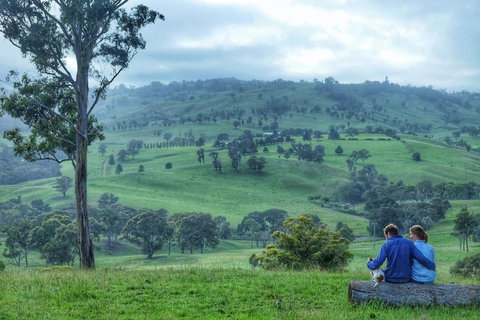 Waterfall Way Farmstay - Kingaroy Accommodation 2