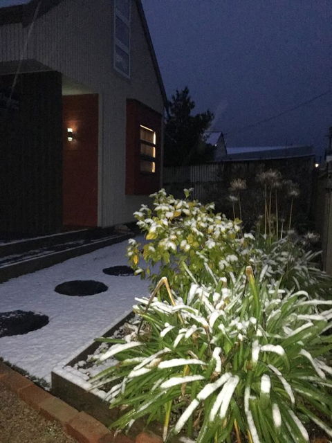 Daydream Cottage - Kingaroy Accommodation 17