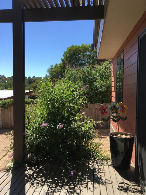 Daydream Cottage - Kingaroy Accommodation 10