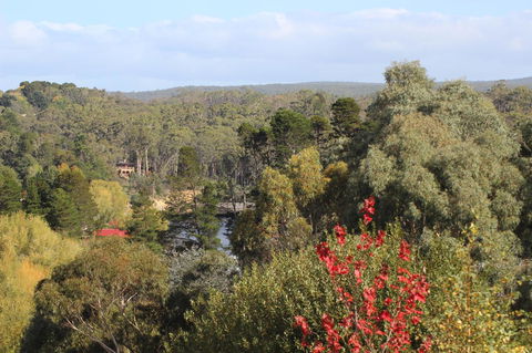 The Orchard - Kingaroy Accommodation 28