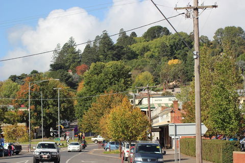 The Orchard - Kingaroy Accommodation 35