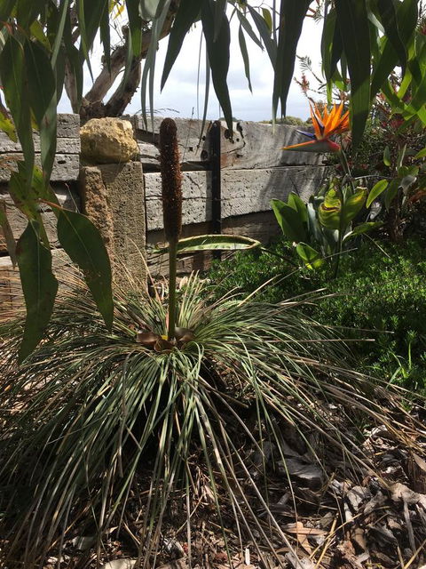 The PC Cottage - Kingaroy Accommodation 32