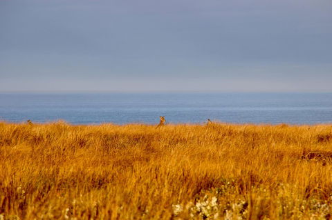 The PC Cottage - Kingaroy Accommodation 39