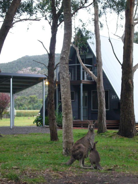 The A-Frame - Kingaroy Accommodation 1