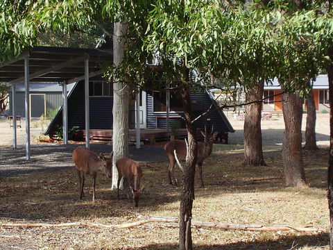The A-Frame - Kingaroy Accommodation 13