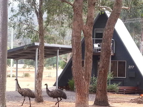 The A-Frame - Kingaroy Accommodation 9