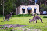 Marwood Luxury Villas