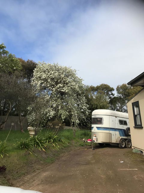 Hillâ€™s Creek Holiday Home - Kingaroy Accommodation 6