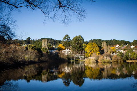 Chestnut Daylesford - Kingaroy Accommodation 14