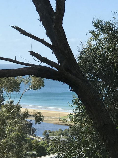 Lorne Sea View Terrace House - Kingaroy Accommodation 12