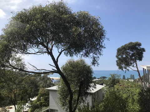 Lorne Sea View Terrace House - Kingaroy Accommodation 26