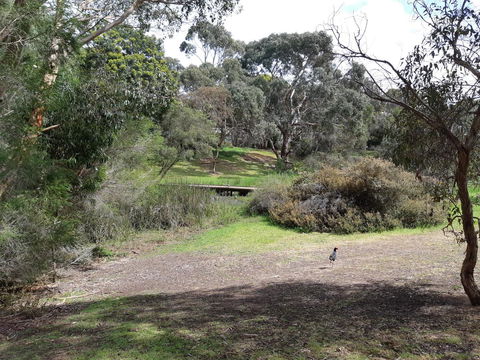 Elevated Holiday House Overlooks Tranquil Wetlands - Kingaroy Accommodation 11