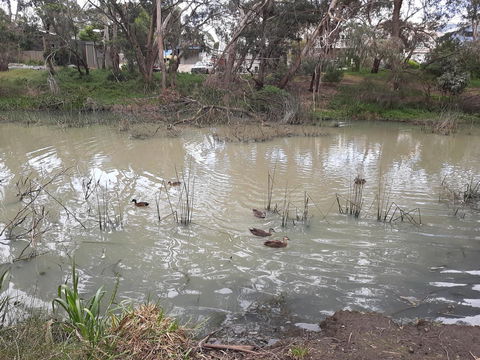 Elevated Holiday House Overlooks Tranquil Wetlands - Kingaroy Accommodation 12