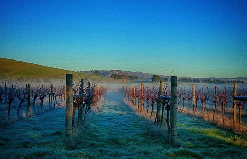 Rooftops - Kingaroy Accommodation 20