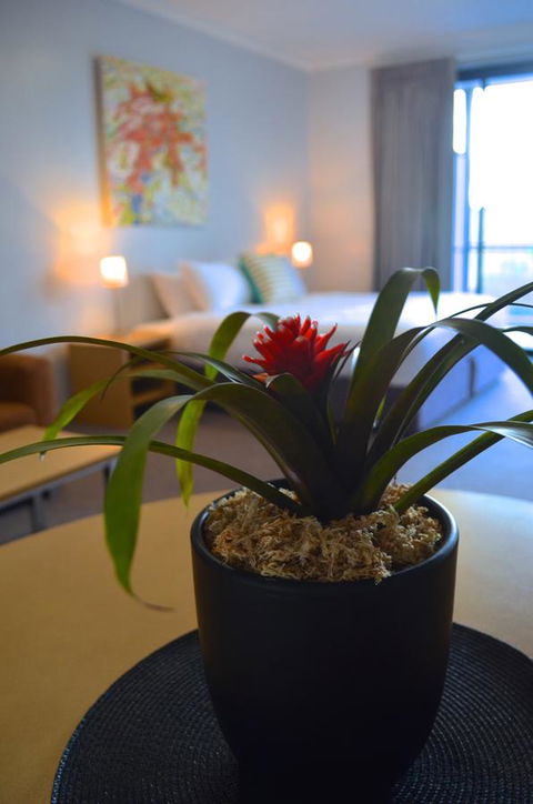 Mansfield Apartments - Kingaroy Accommodation 21