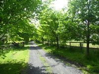 Book Wonga Park Accommodation Vacations Kingaroy Accommodation Kingaroy Accommodation
