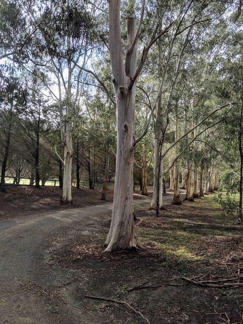 Kangaroo Manor - Kingaroy Accommodation 10