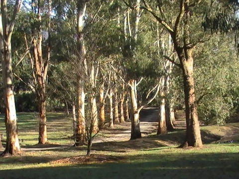 Kangaroo Manor - Kingaroy Accommodation 21