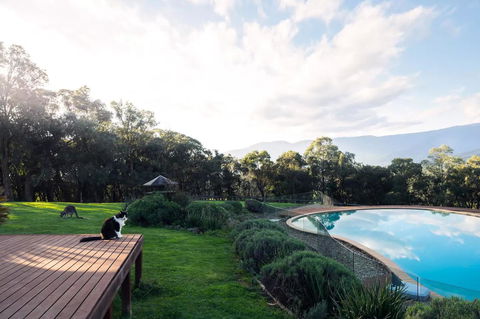 Kangaroo Manor - Kingaroy Accommodation 23