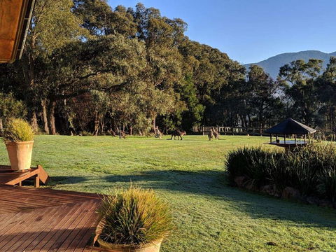 Kangaroo Manor - Kingaroy Accommodation 5