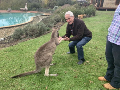 Kangaroo Manor - Kingaroy Accommodation 13