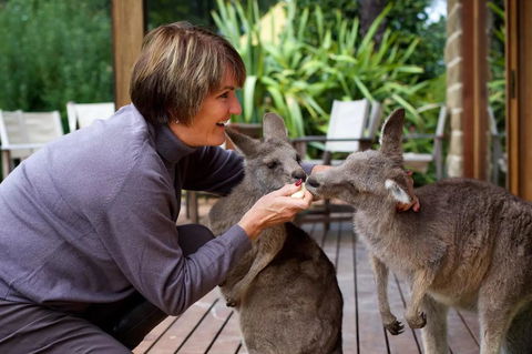 Kangaroo Manor - Kingaroy Accommodation 20