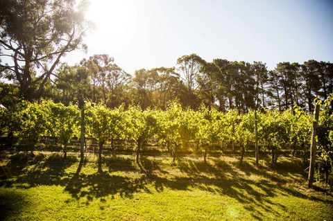 Polperro Villas - Kingaroy Accommodation 18