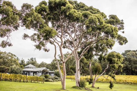 Polperro Villas - Kingaroy Accommodation 20