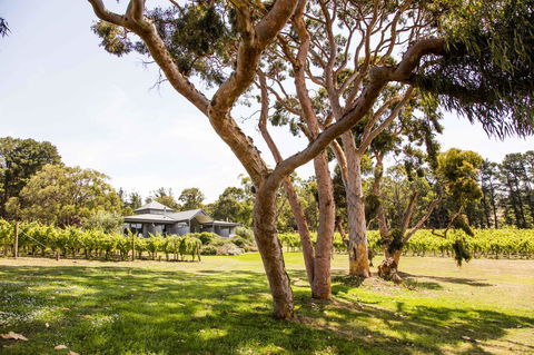 Polperro Villas - Kingaroy Accommodation 17